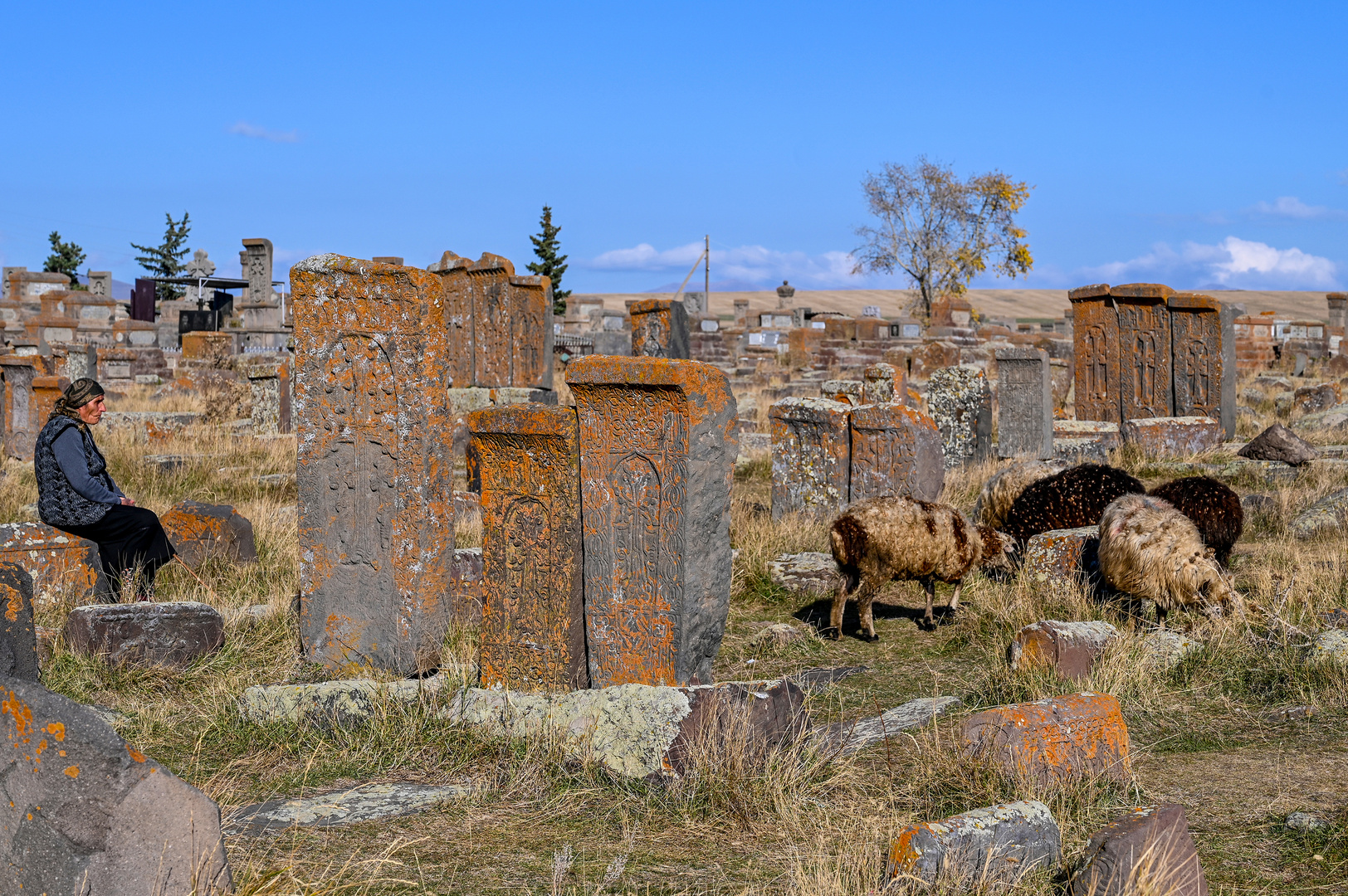Der Friedhof von Noratus 10
