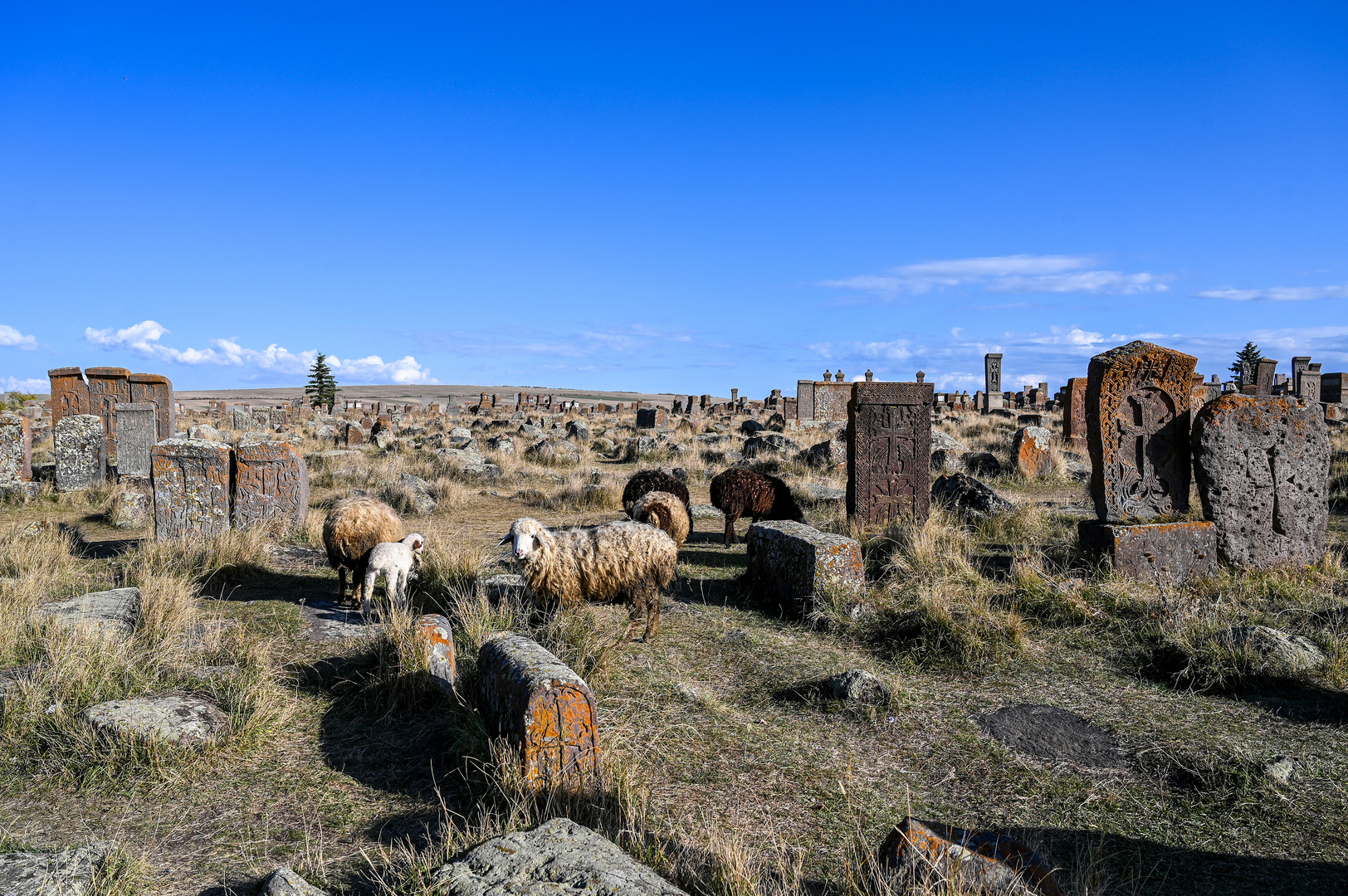 Der Friedhof von Noratus 19