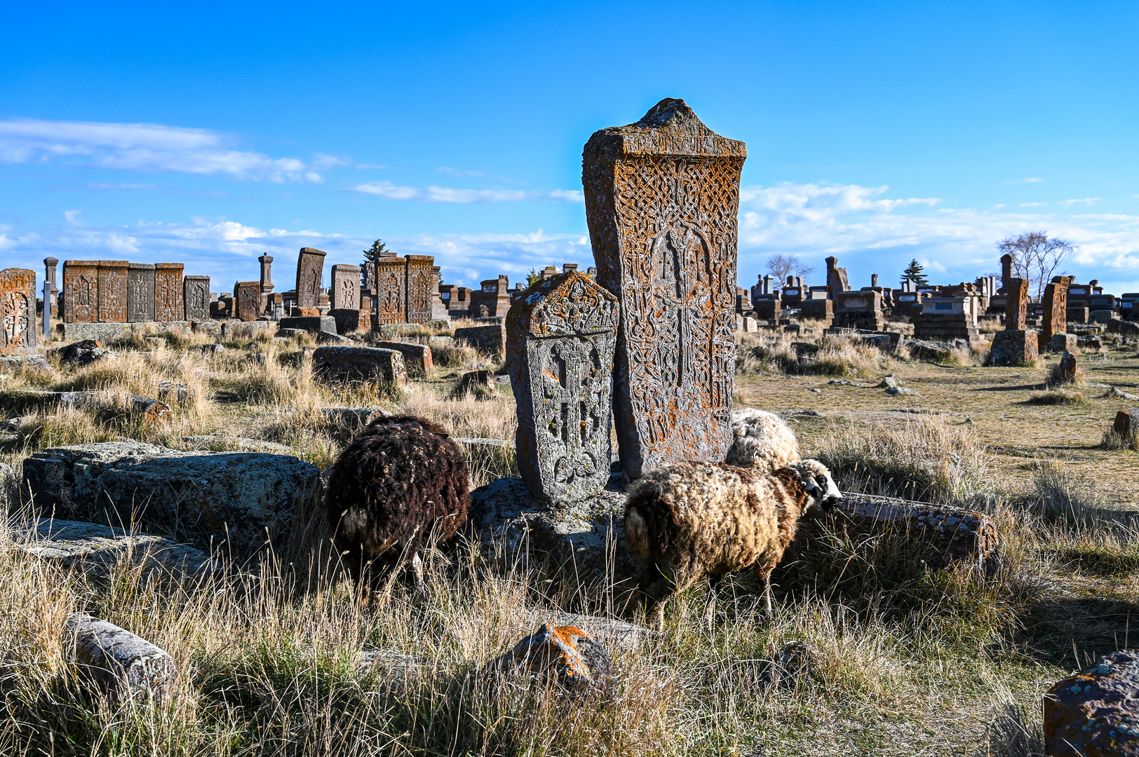 Der Friedhof von Noratus 21