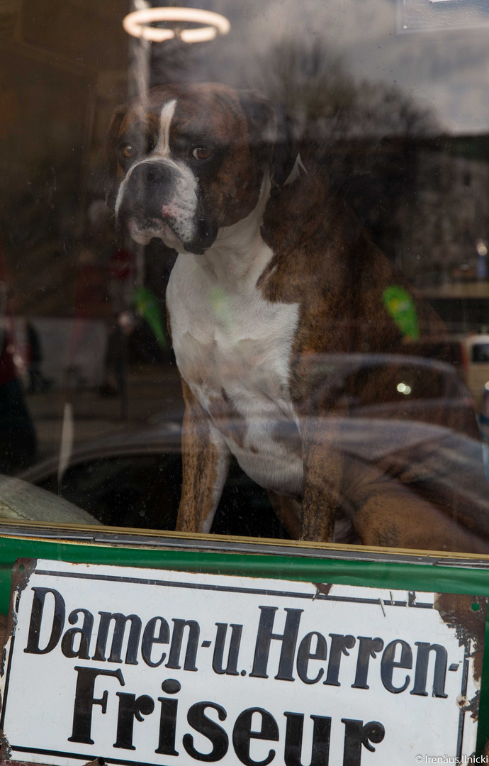 Der Friseur