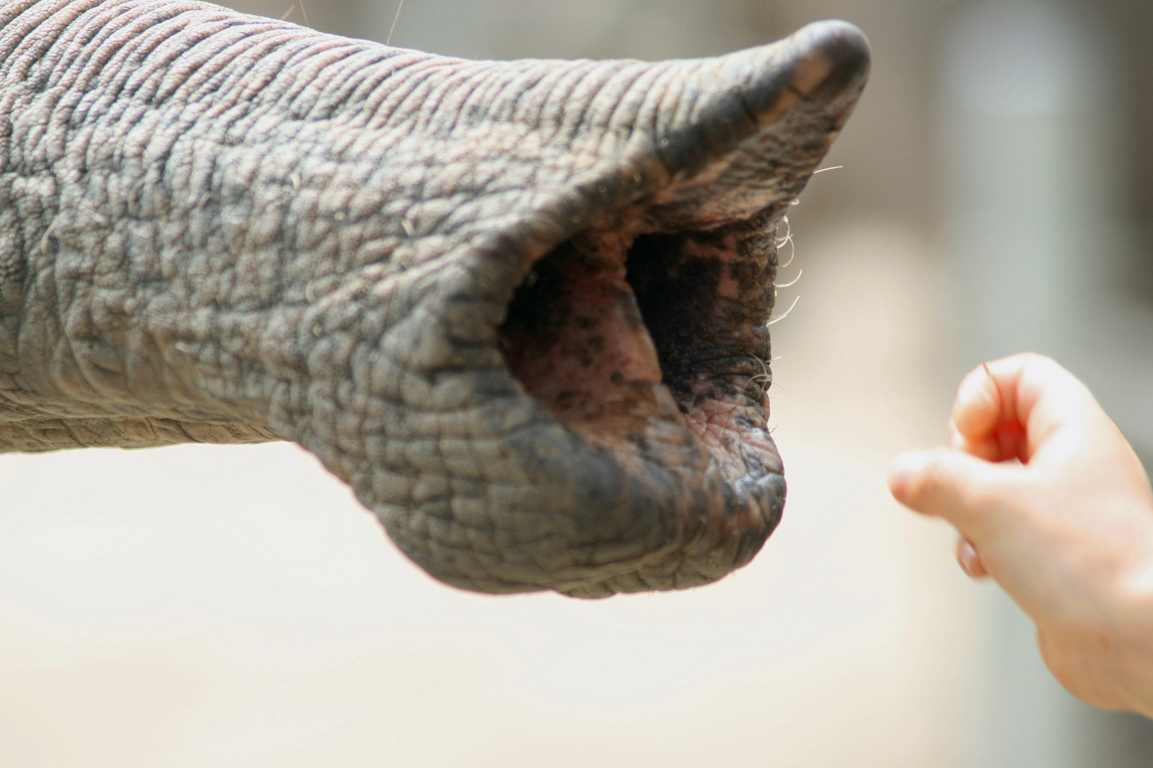 ..der frisst ihr aus der Hand...