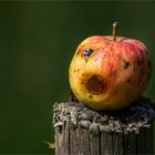 der fröhliche Apfel