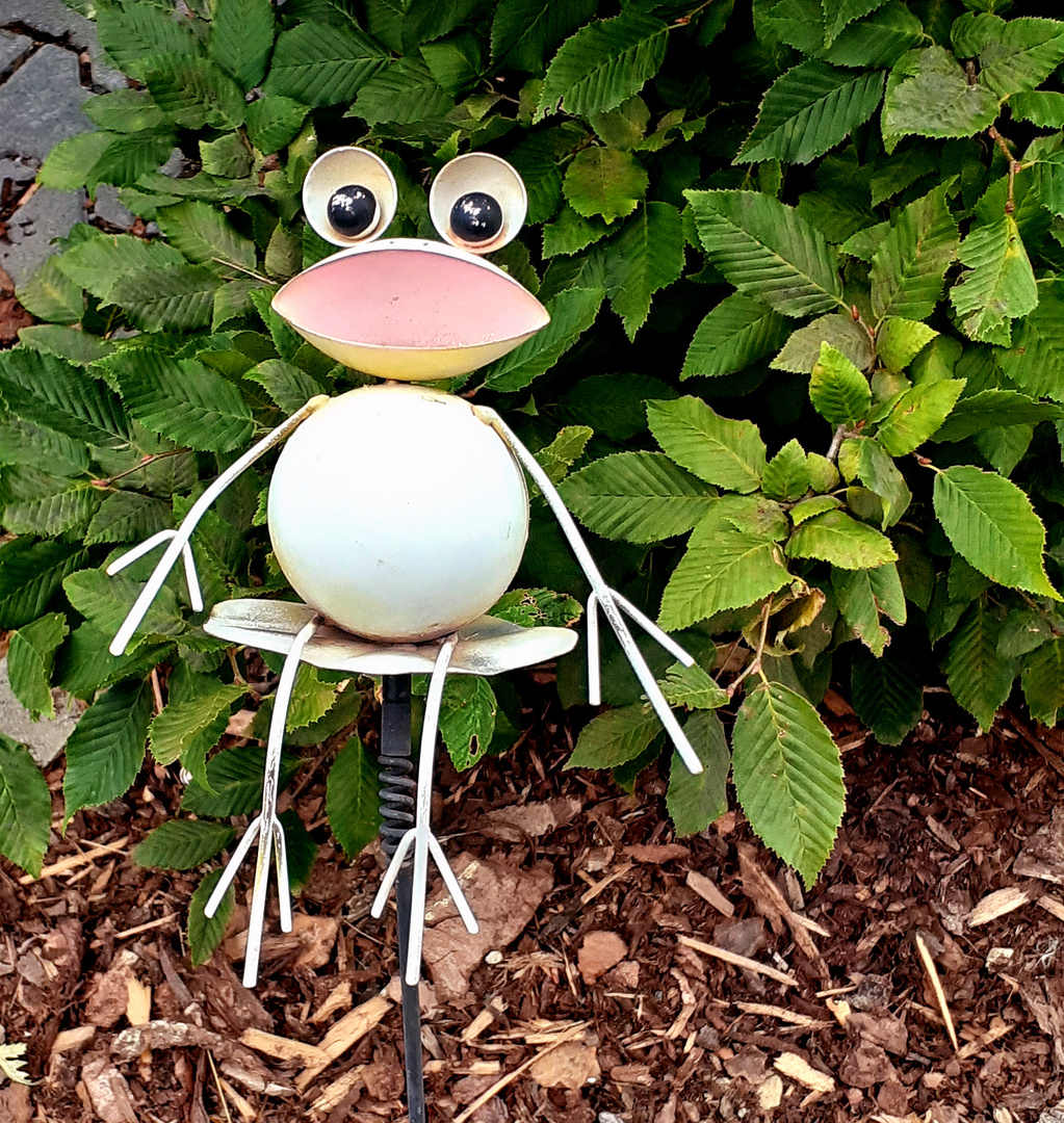 Der fröhliche Frosch am Landratsamt