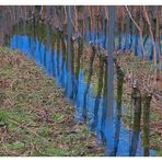 Der fröhliche Weinberg