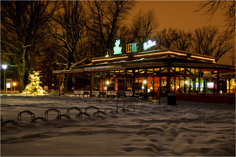 Der Frosch im Schnee