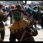 "Der Frosch mit der Maske beim Narrensprung in Sonthofen"