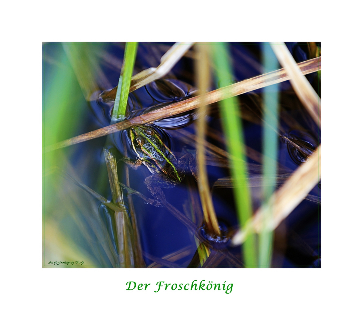 Der Froschkönig