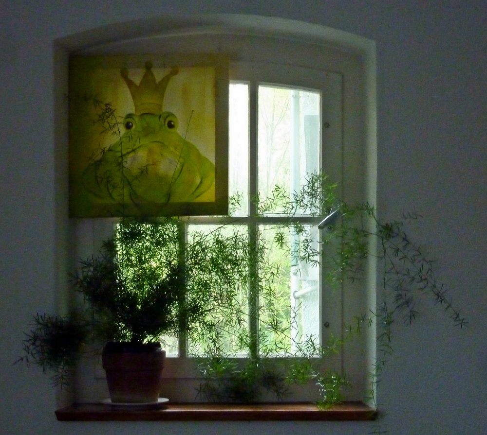 der Froschkönig an meinem Fenster