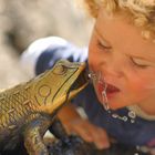 Der Froschkönig ... oder... Schwerelos