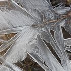 Der Frost als Künstler