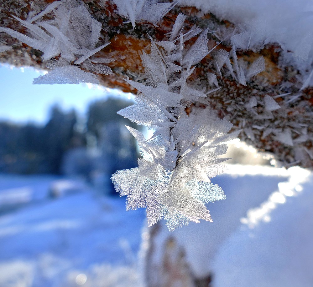 Der Frost als Künstler