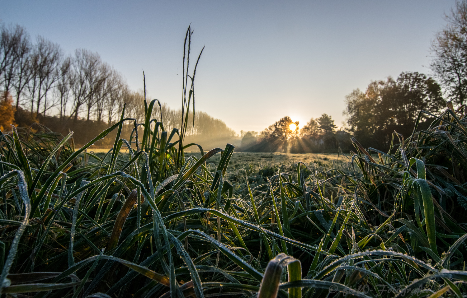 der Frost am Morgen