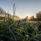 der Frost am Morgen