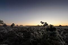 "Der Frost grüsst die Sonne"