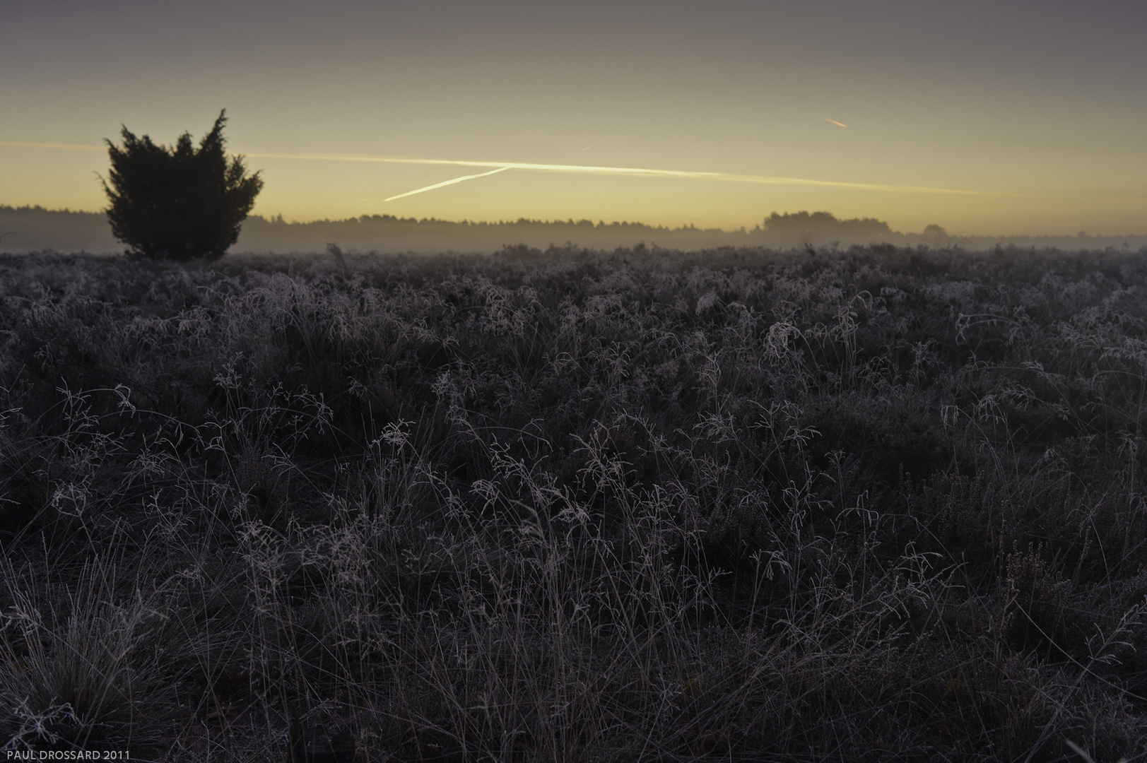 "Der Frost grüsste die Sonne" Teil 2