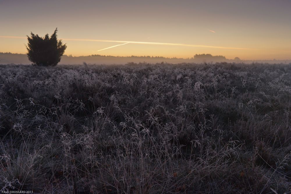 "Der Frost grüsste die Sonne" Teil 2