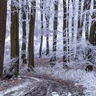 Der Frost haucht zarte Häkelspitzen...