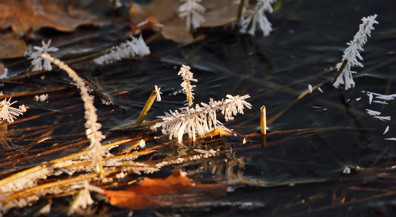 "Der Frost kam Nachts über'm See"