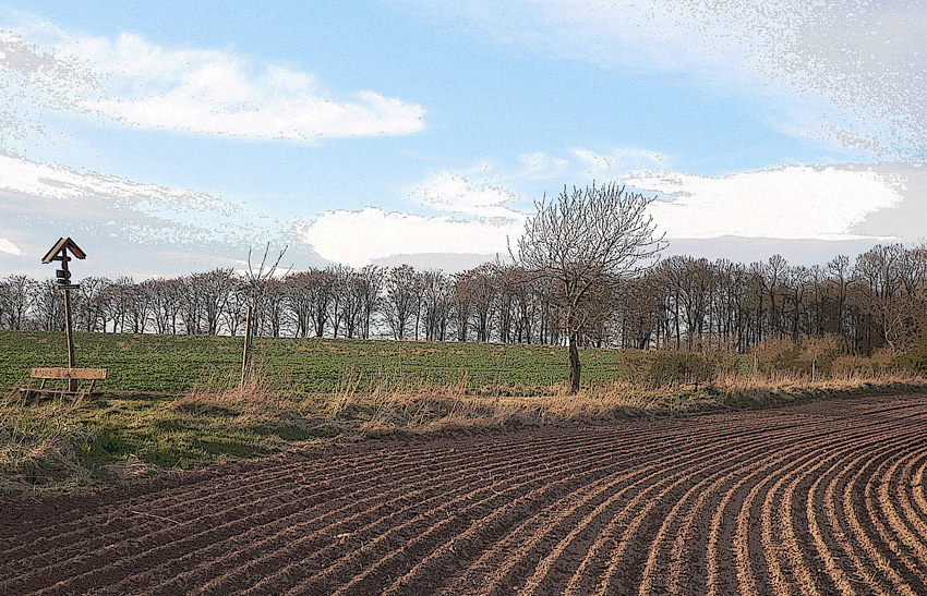 Der Früchling kommt und Leben schön!