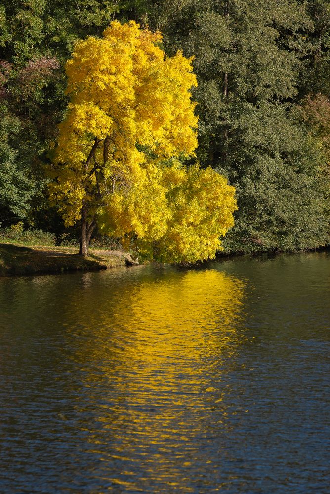 der Frühe