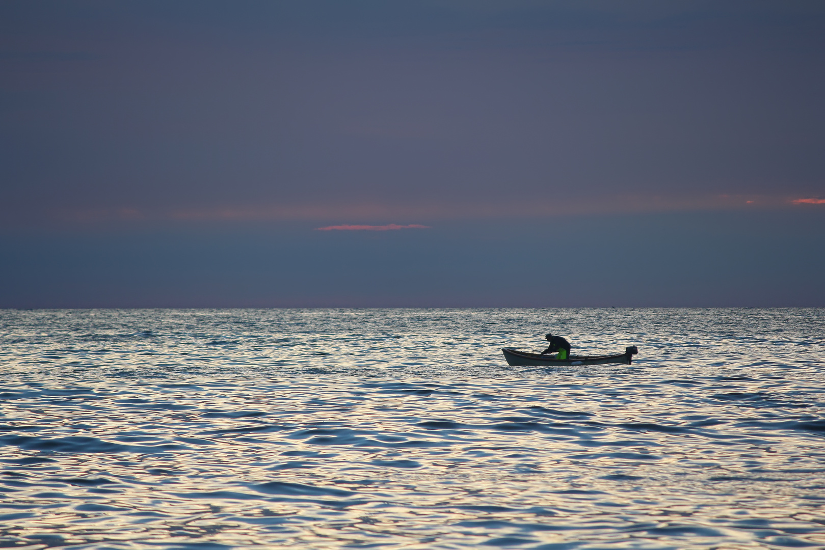 der frühe Fischer fängt den Fisch  -  the early fisherman catches the fish