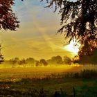 Der frühe Morgen..