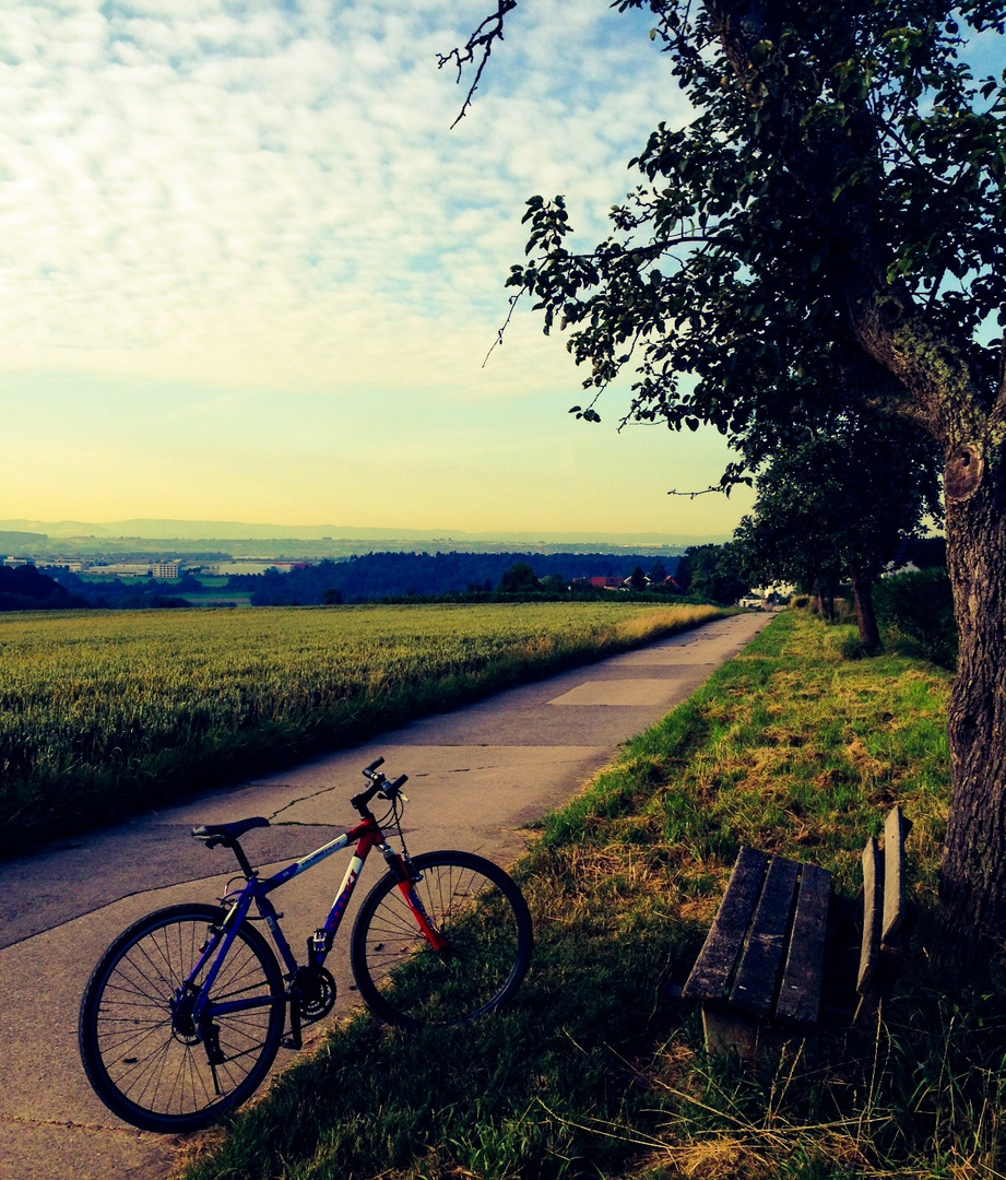 der frühe Morgen