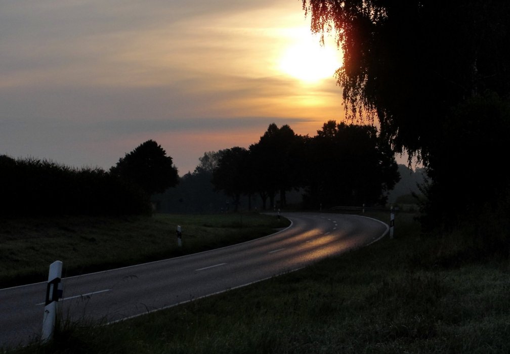 Der Frühe Morgen, die Straße und die fehlenden Vögel