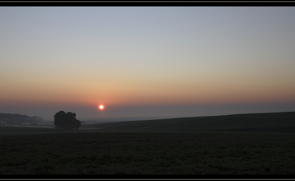 Der frühe Morgen II