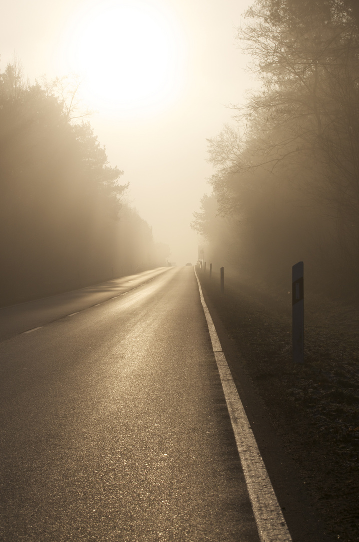 Der frühe Nebel 1