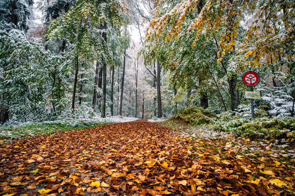 der frühe Schneefall