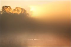 Der frühe Vogel.........