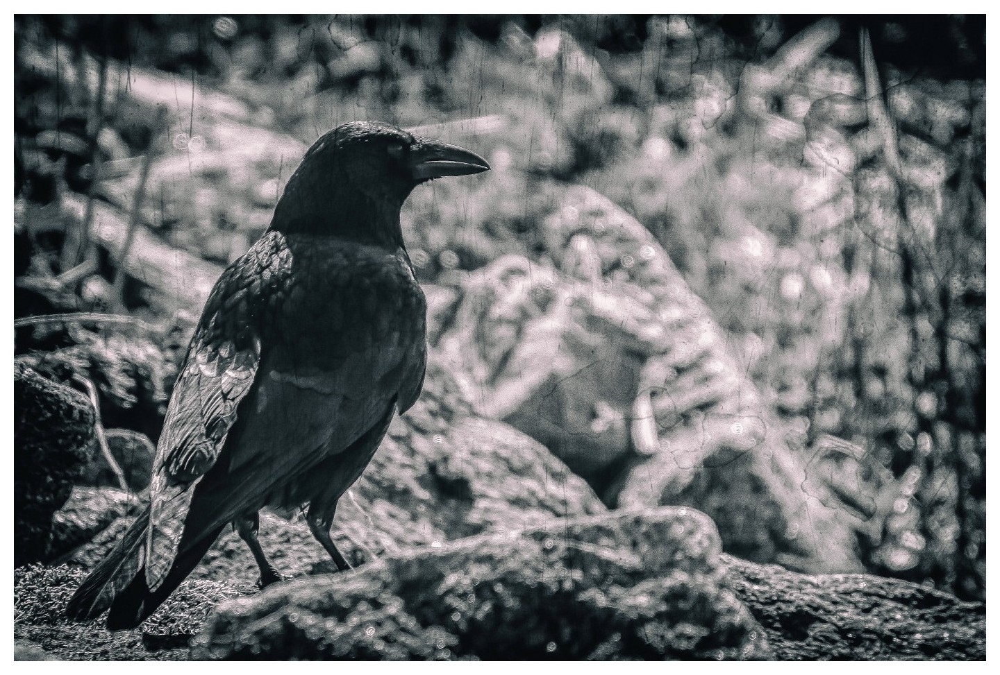 Der frühe Vogel