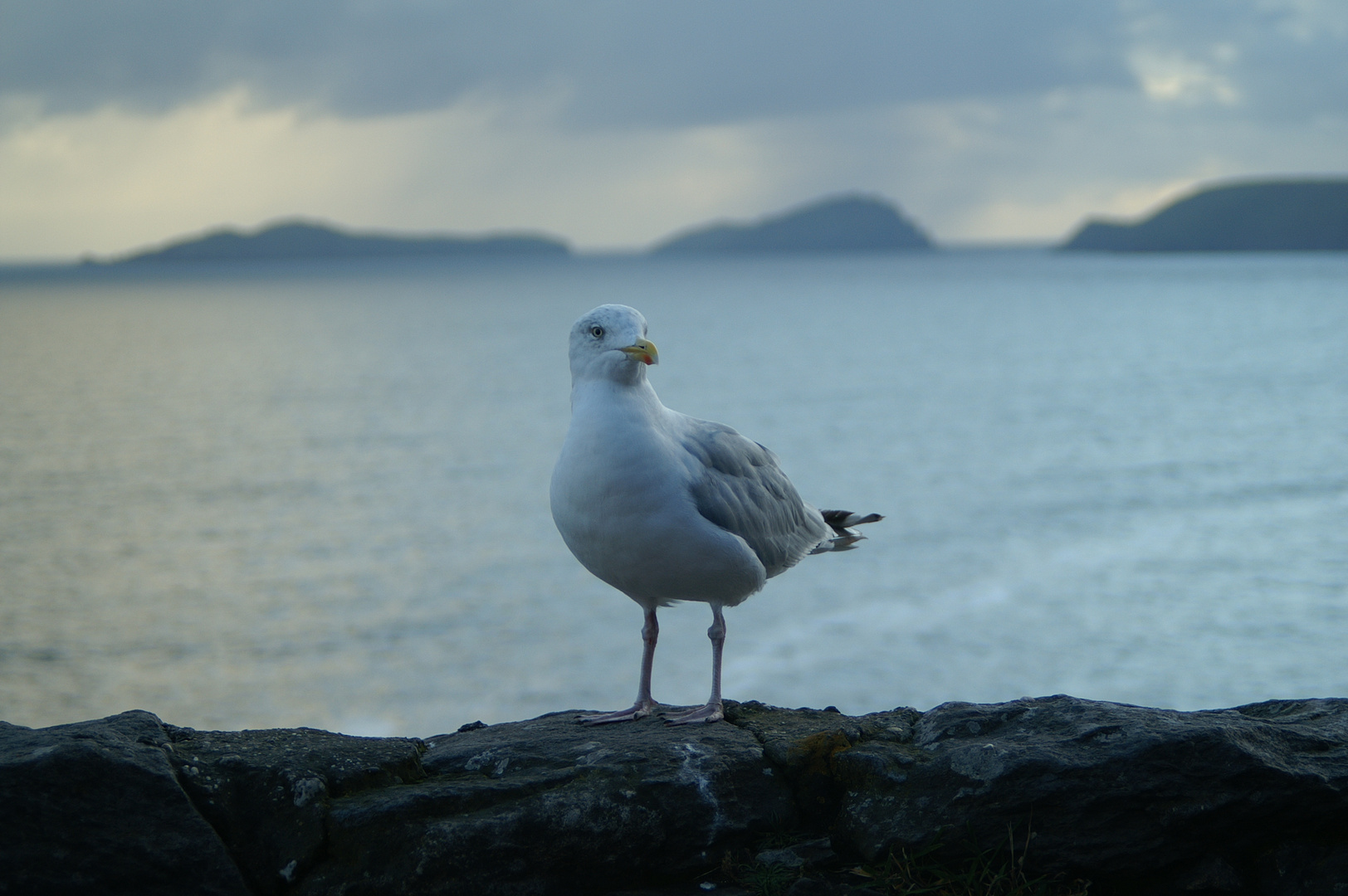 Der frühe Vogel....