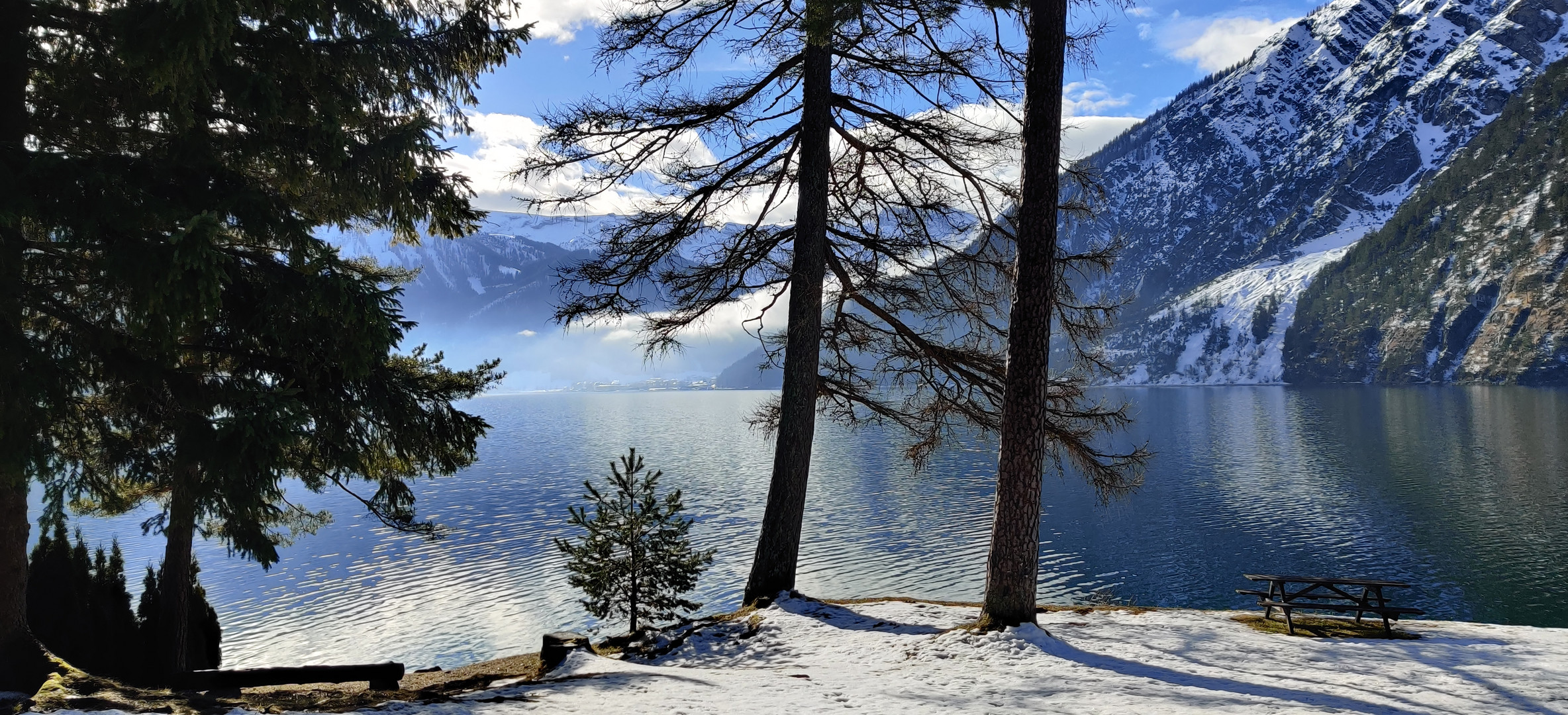 Der frühe Vogel ...am Achensee