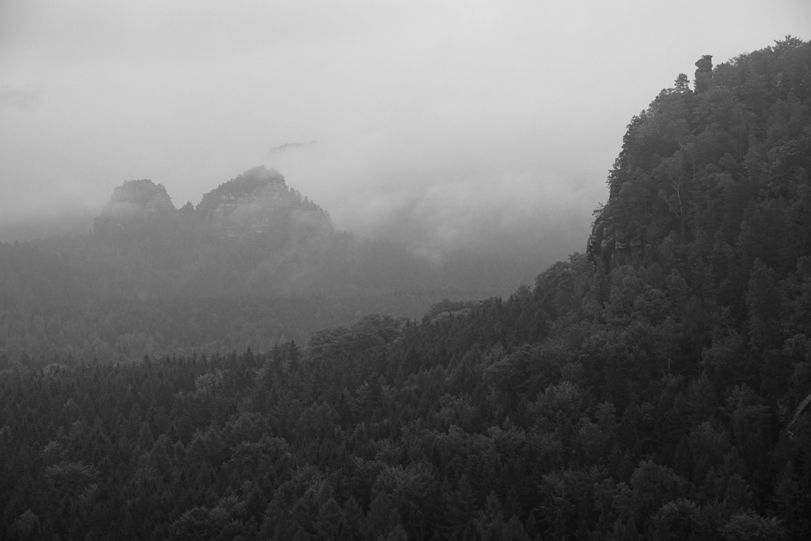 Der frühe Vogel findet Nebel