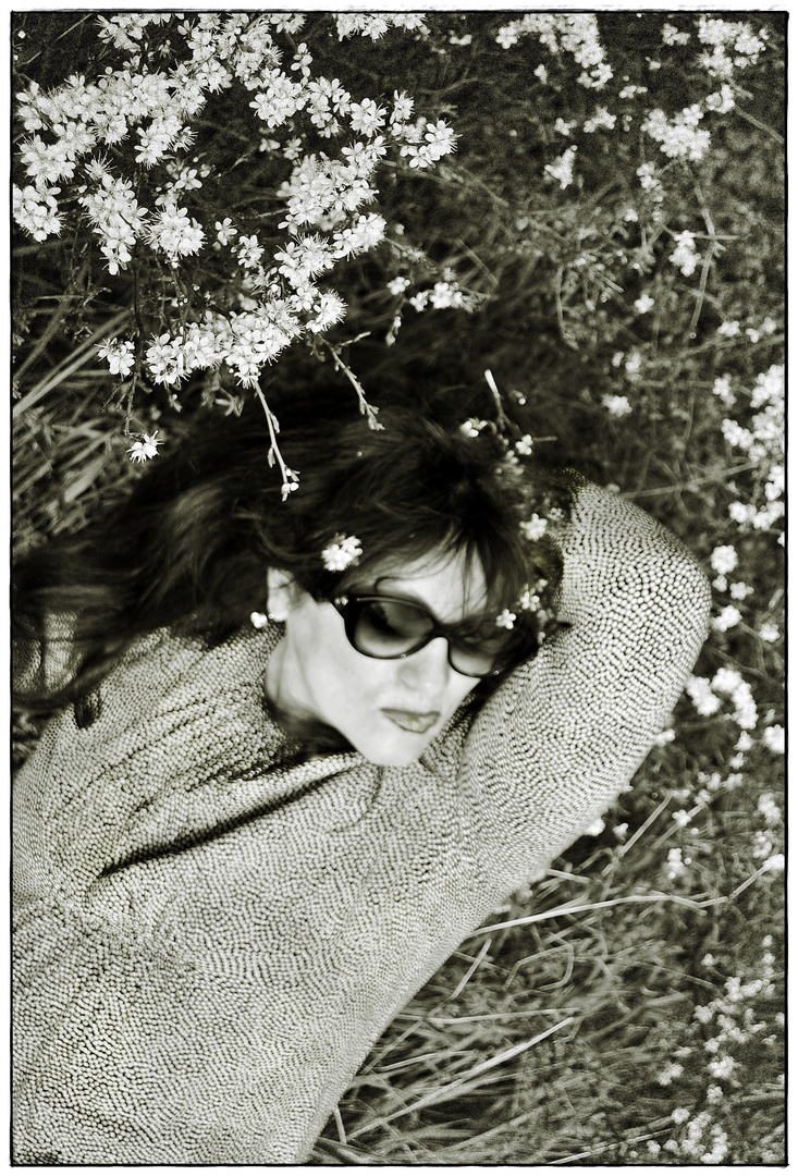 Bild Der Fruhe Vogel Kann Mich Mal