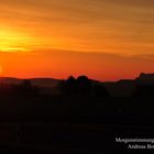 Der frühe Vogel ..... Morgenrot auf der Fahrt zur Teufelsmauer