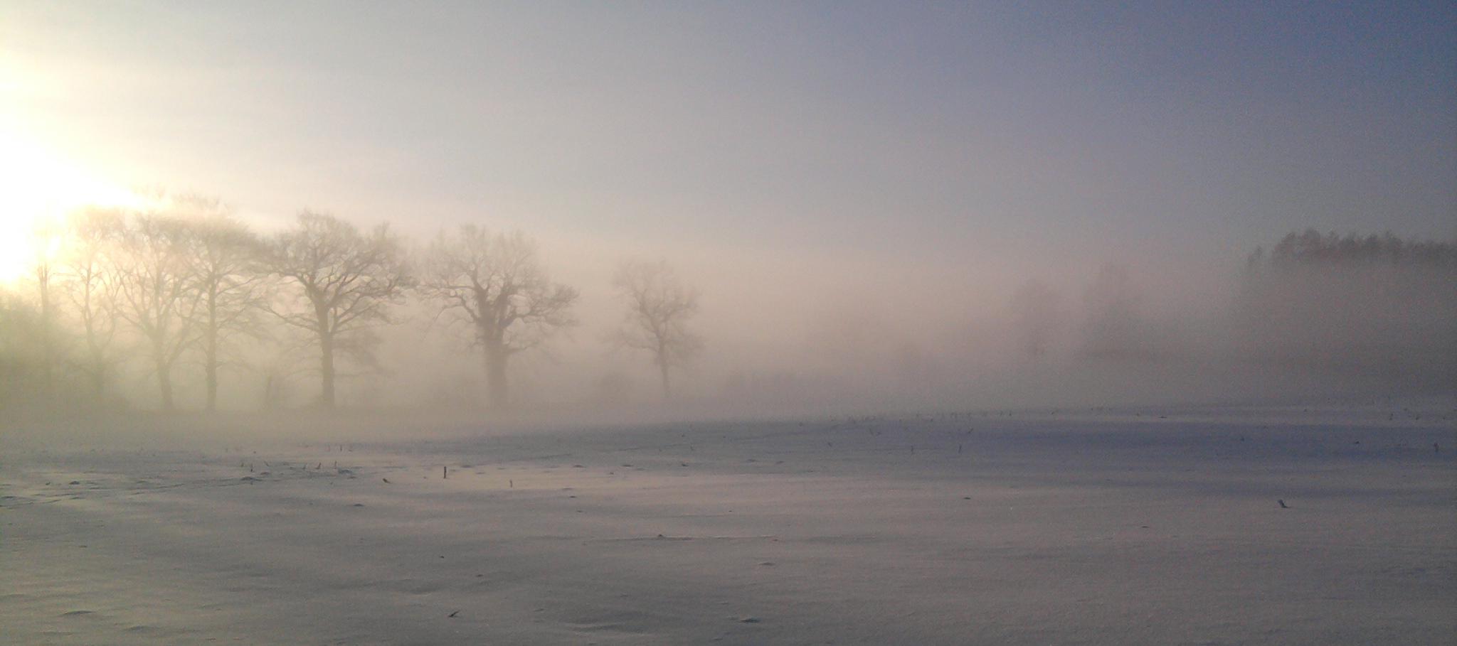 Der frühe Wintermorgen auf dem Feld