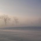 Der frühe Wintermorgen auf dem Feld