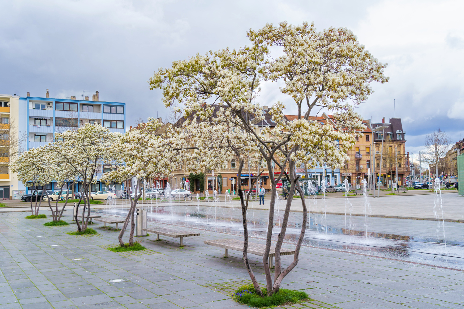 Der Frühling ....