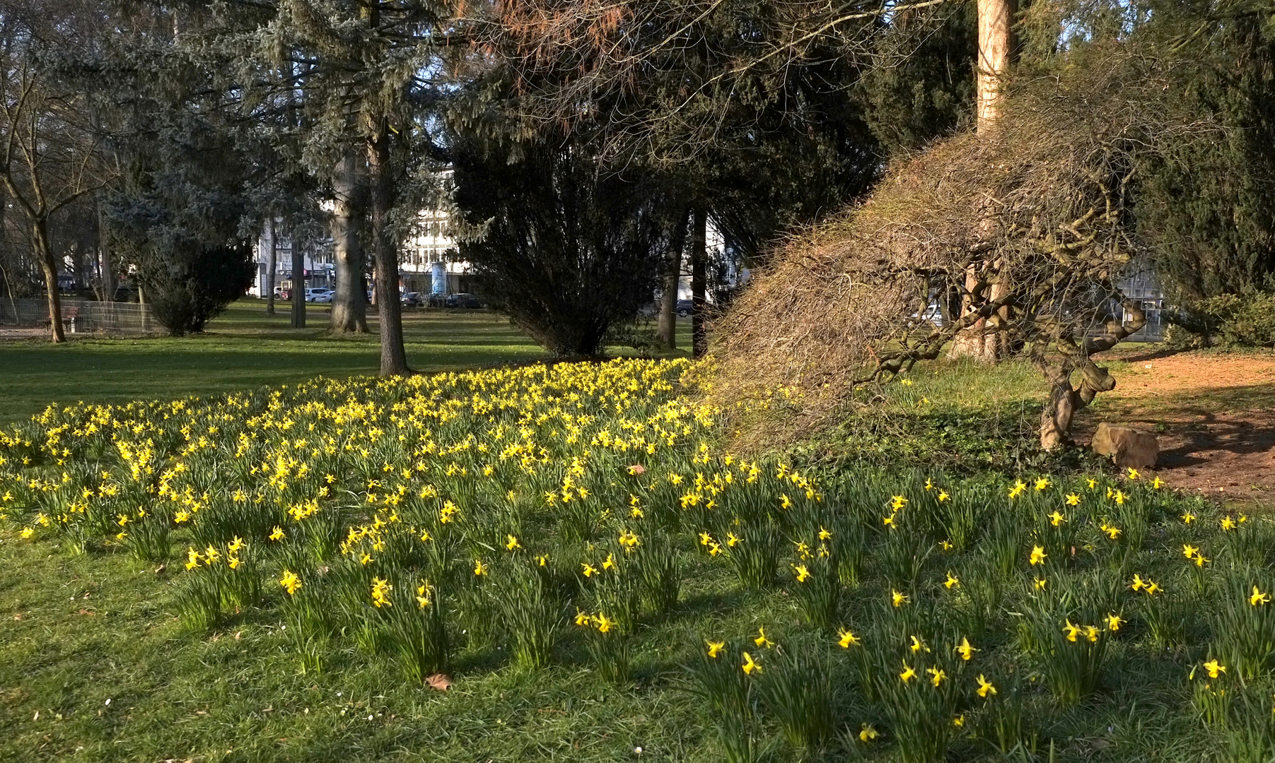 der Frühling