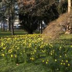 der Frühling