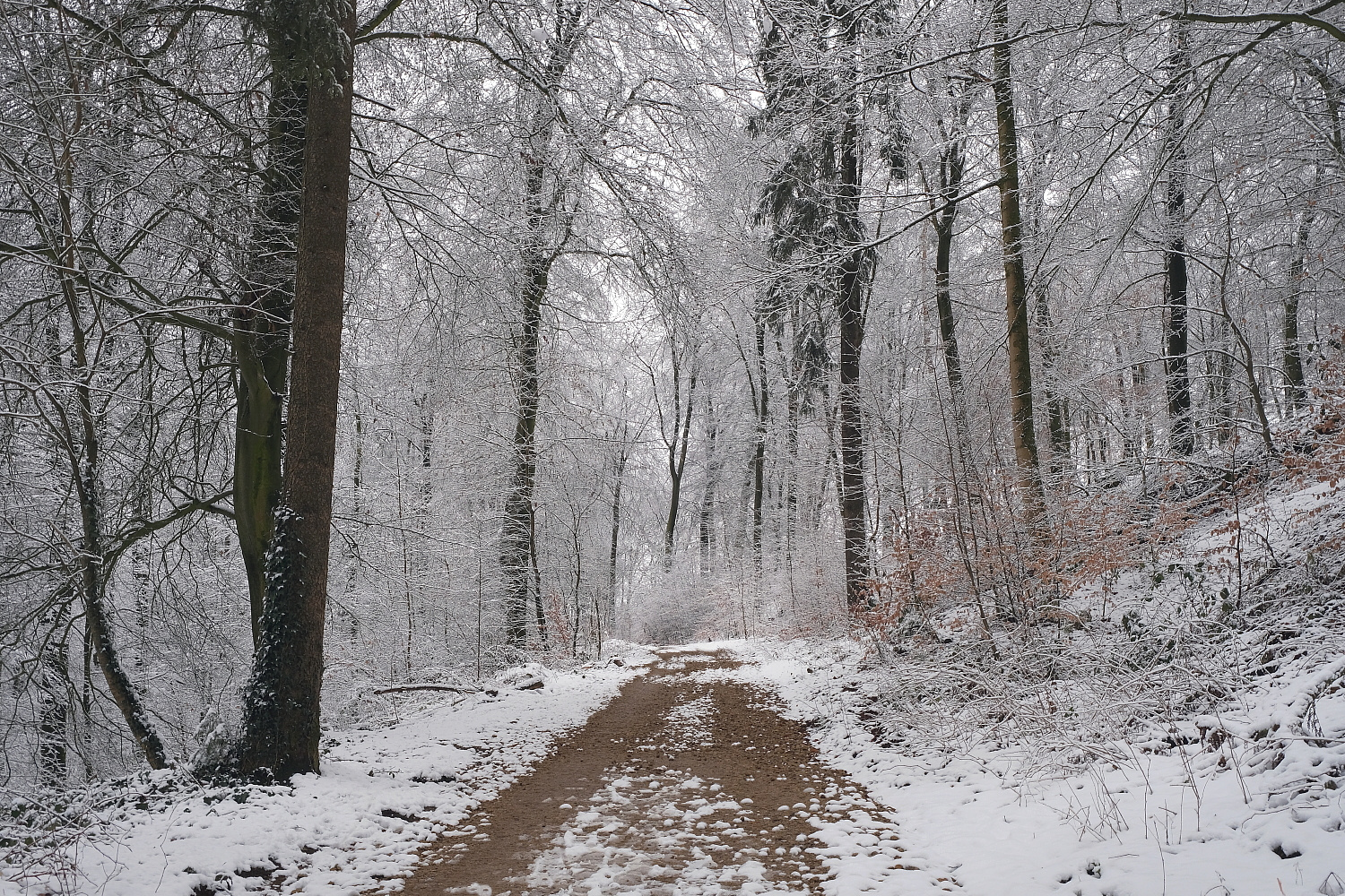 Der Frühling