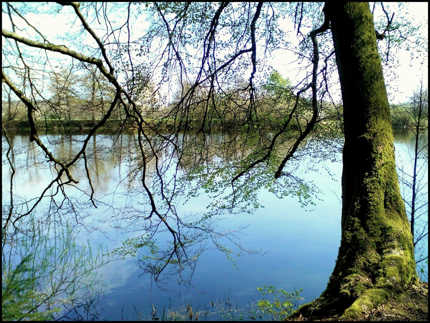 Der Frühling