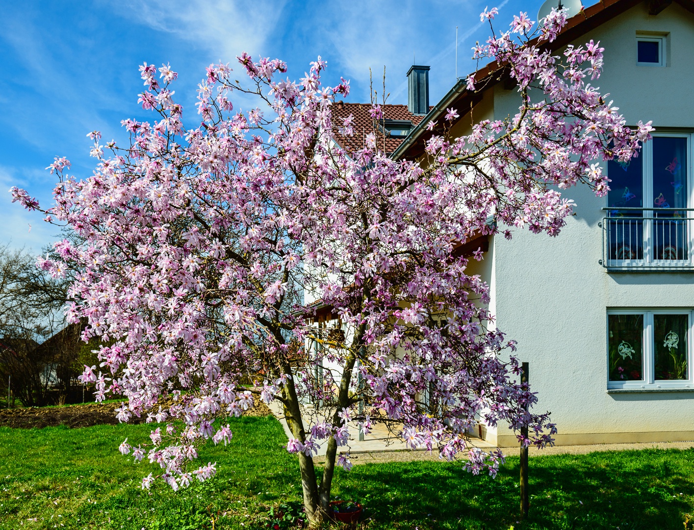 Der Frühling 