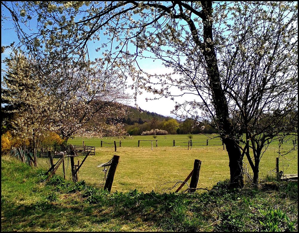 Der Frühling