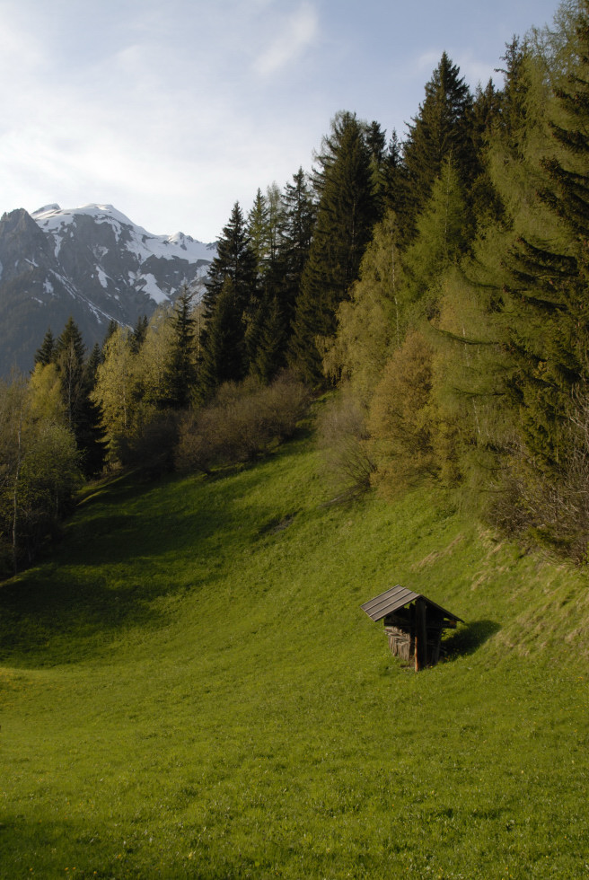 Der Frühling.....