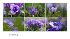 Der Frühling