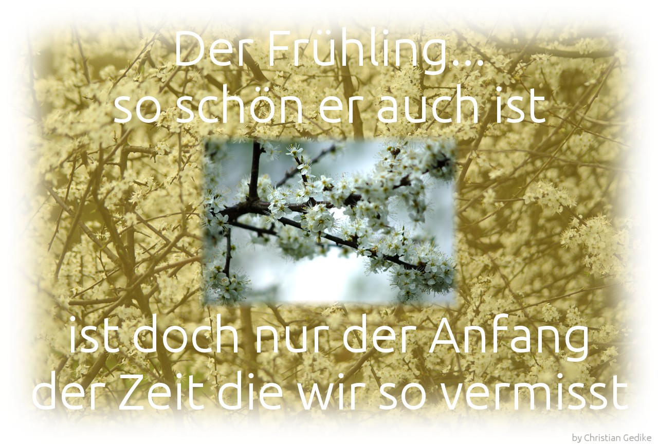 der Frühling....